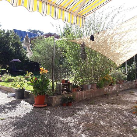Ferienwohnung Lerchennest Georgensgmund Экстерьер фото