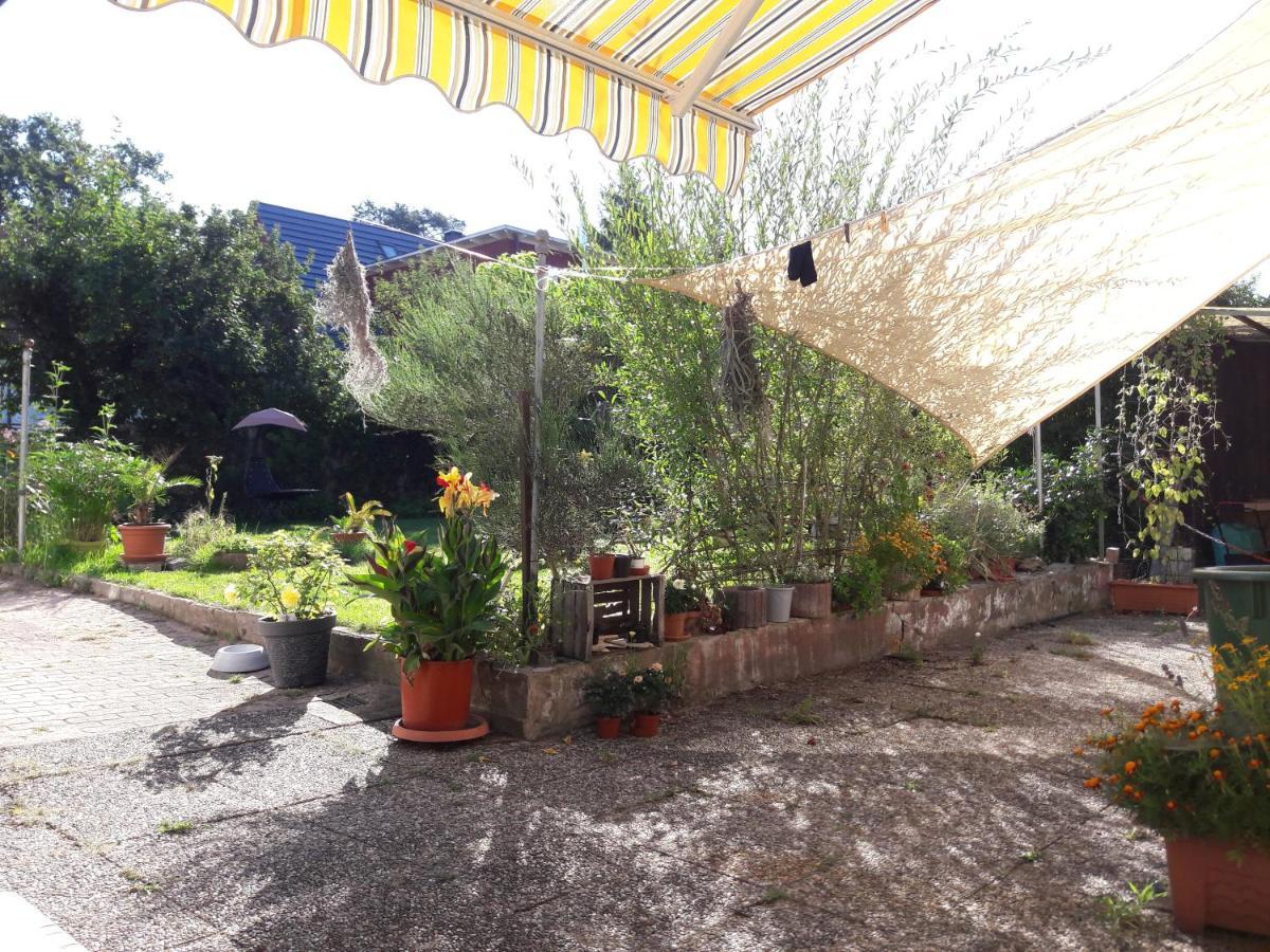 Ferienwohnung Lerchennest Georgensgmund Экстерьер фото